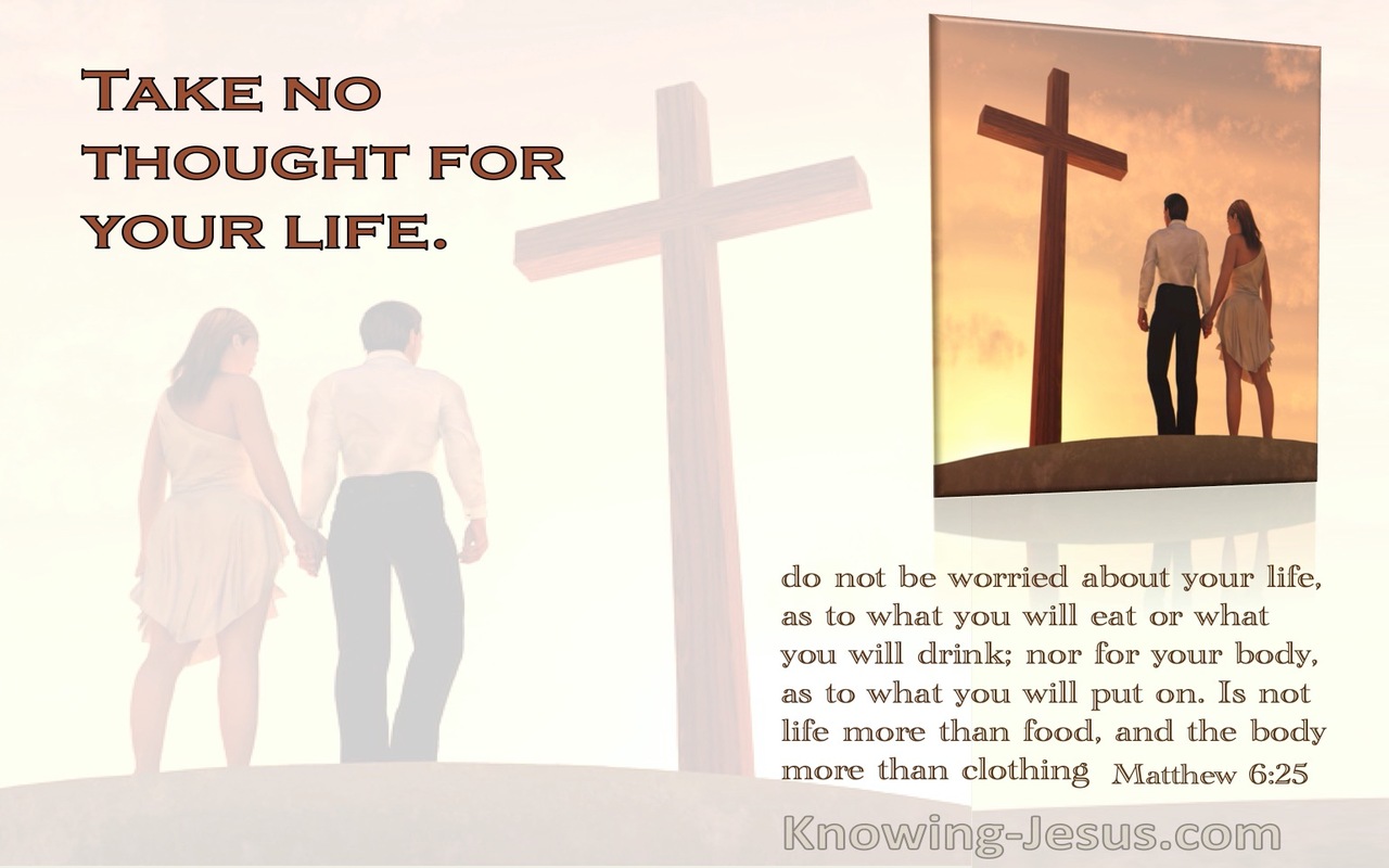 Matthew 6:25 Take No Thought For Your Life (orange)